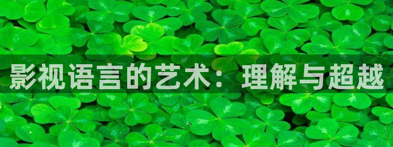 老湿一影院：影视语言的艺术：理解与超越