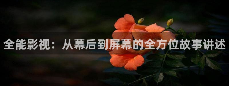 老湿影院视频：全能影视：从幕后到屏幕的全方位故事讲述