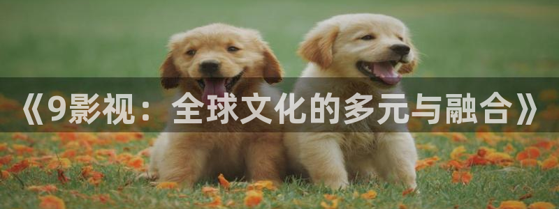 老湿电影网：《9影视：全球文化的多元与融合》
