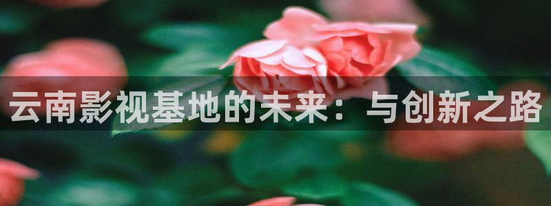 亚洲老湿机影院：云南影视基地的未来：与创新之路