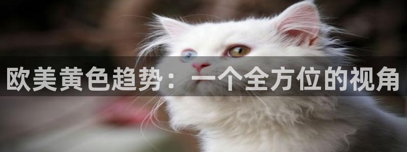 老湿影院日韩：欧美黄色趋势：一个全方位的视角