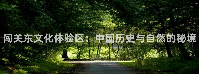 老湿影院在线看：闯关东文化体验区：中国历史与自然的秘境