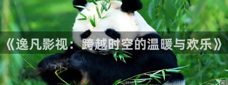 老湿视频一分钟免费：《逸凡影视：跨越时空的温暖与欢乐》