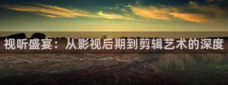 老湿剧院：视听盛宴：从影视后期到剪辑艺术的深度