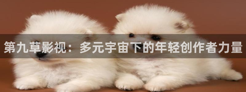 老湿影院午夜：第九草影视：多元宇宙下的年轻创作者力量